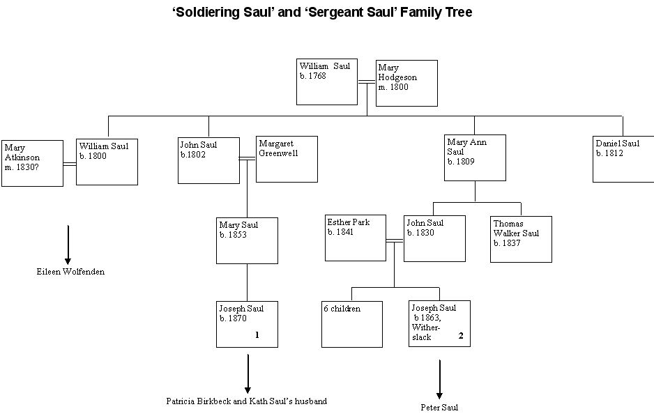 Soldiering Saul and Sergeant Saul Family Tree